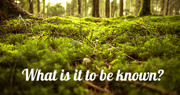 2 November 2023 Newsletter Cover