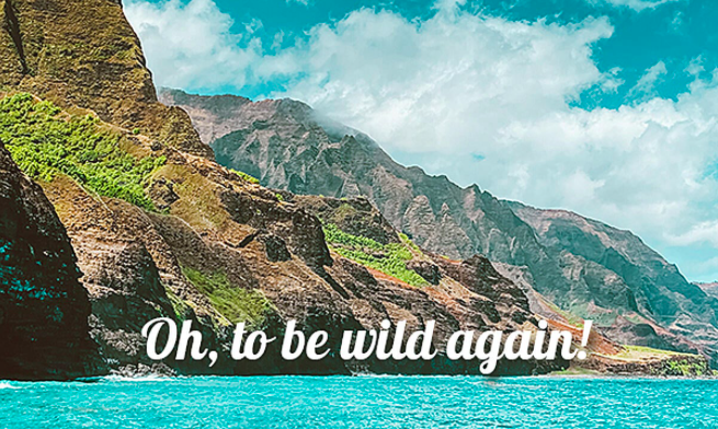 February 2023 Newsletter Cover