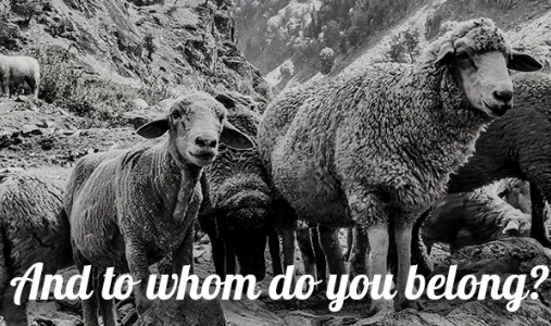 May 2023 Newsletter Cover