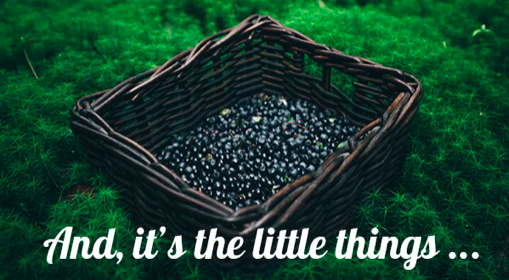 July 2023 Newsletter Cover