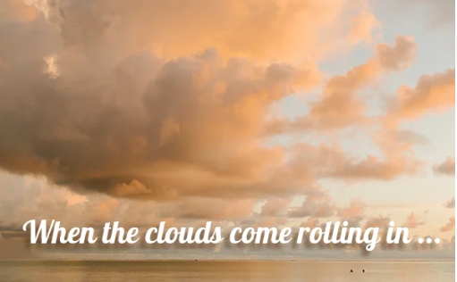 June 2023 Newsletter 2023