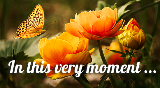 March 2021 Newsletter Cover