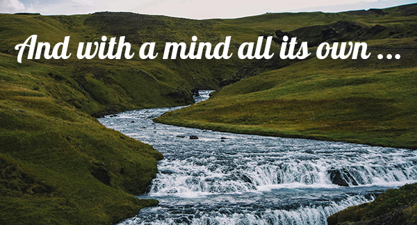 march 2024 newsletter