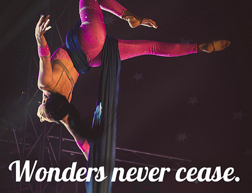 Newsletter November 2022