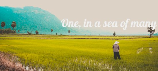 October 2020 Newsletter Cover