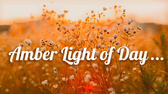 September 2019 Cover