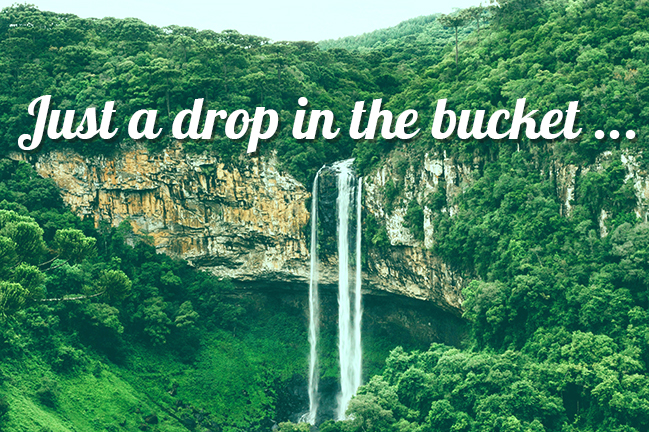 May 2022 Newsletter Cover