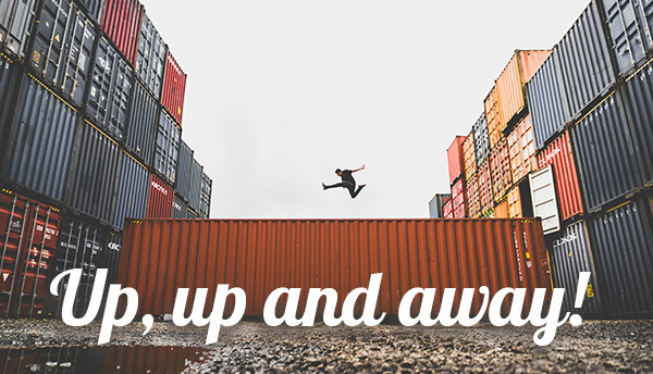 mid december 2024 cover